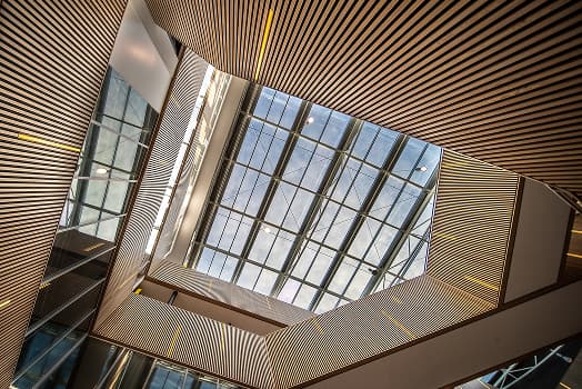 Tiny House vs. Containerhaus